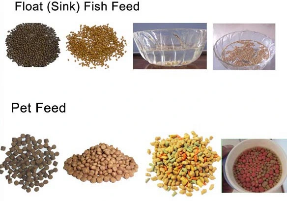 Big Capacity Floating Fish Feed Pellet Machine (WSP)