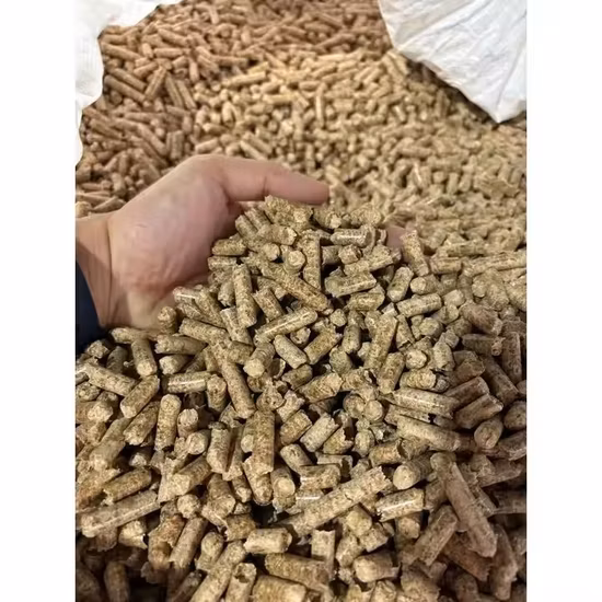 Biocombustible Energía Arroz Cáscara Aserrín Bambú Polvo Ramas de árbol Granuladora Briqueta Máquina de prensa / Anillo Troquel plano 1t / H 2t Agricultura Biomasa Máquina de pellets de madera