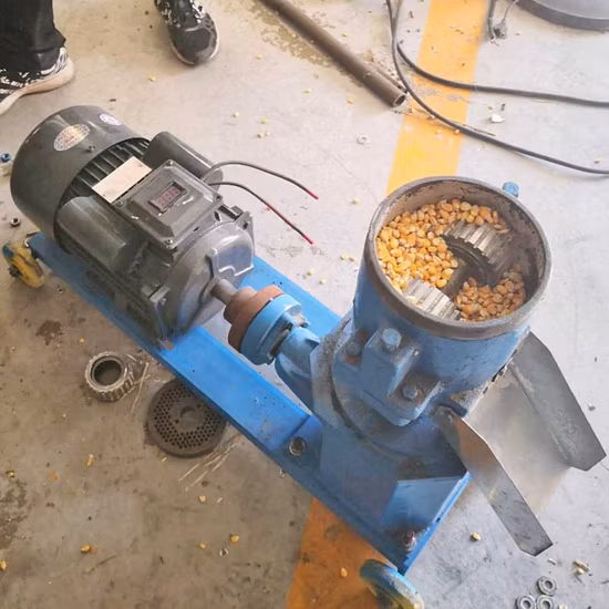 Máquina de extrusión de alimento para peces sin preocupaciones después de la venta + Máquina de pellets de alimento para peces flotante de troquel plano + Máquina de fabricación de pellets de alimento para peces